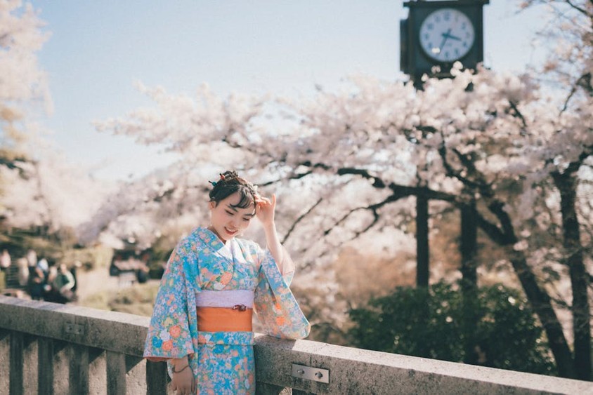 Cherry blossoms